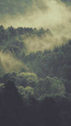 哈密瓜产妇可以吃吗截图2