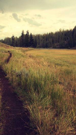 吃瓜黑料网址截图4