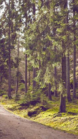 zztt24黑料不打烊截图1