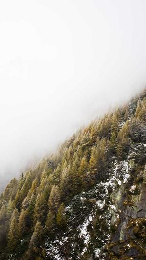 佐藤健黑料截图3