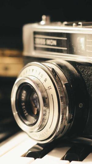 怀孕期间可以吃哈密瓜吗截图1