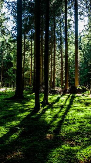 什么是吃瓜群众截图4