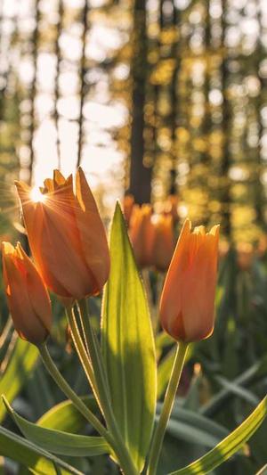 吃瓜网红黑料截图2