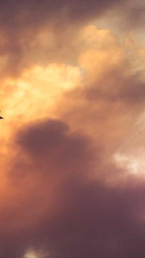 黑料:不打烊截图4