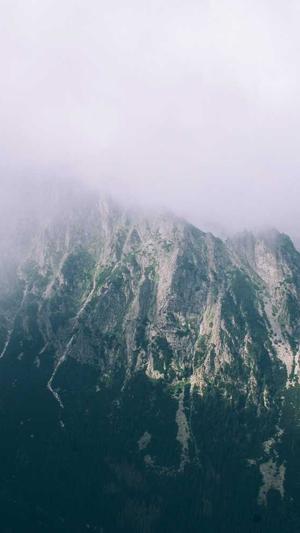 豆瓣自由吃瓜基地申请截图3