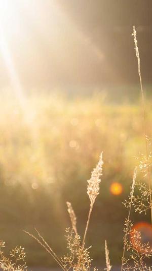 51吃瓜入口截图2