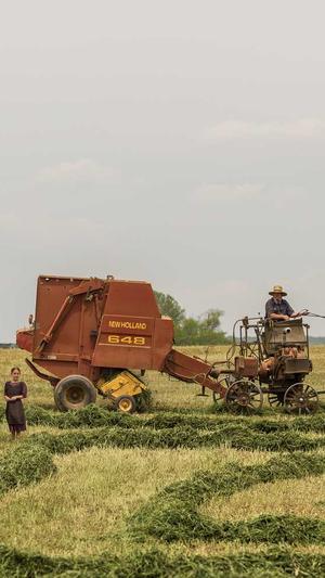 黑料社区app截图4