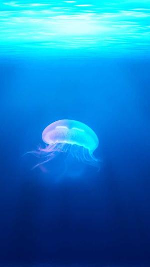 吃瓜群众要修行截图3