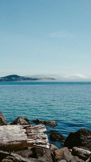 吃瓜群众要修行截图4