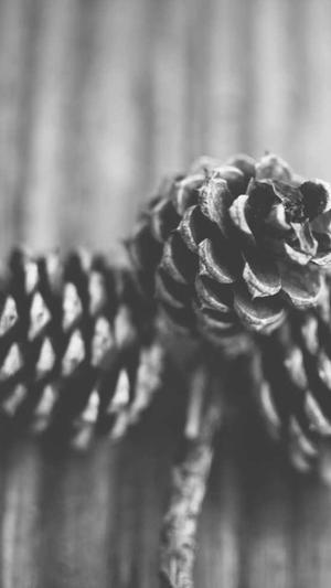 51fun吃瓜网官网截图2