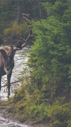 黑料热点事件截图1