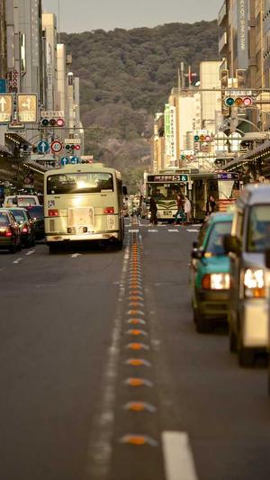 gnc瓜拉纳怎么吃截图1