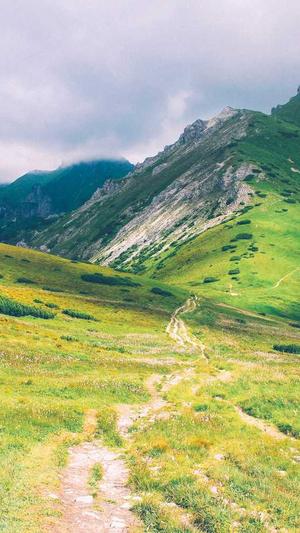 黑料社入口截图1