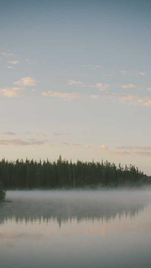 黑料社区app截图3