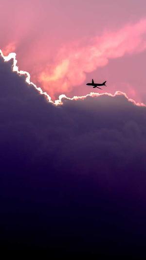 龙女塔罗黑料截图3