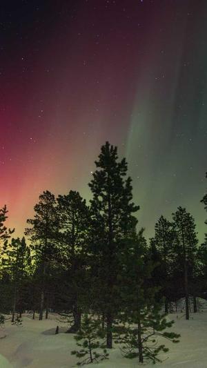 蛇瓜的瓤可以吃吗截图1