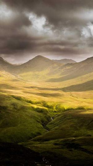 黑料:不打烊截图5