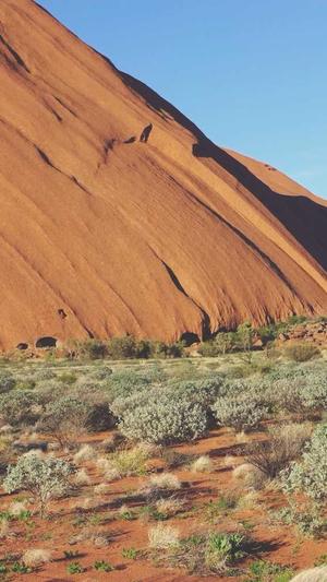 国产免费不见星空黑料截图1