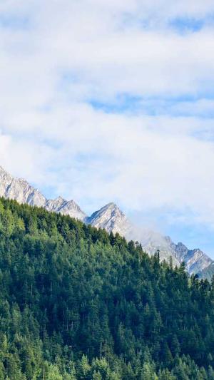 ccav黑料正能量入口截图1