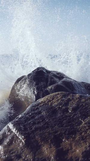 黑料不打烊在线进入截图5