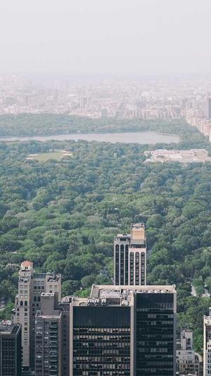 微信吃瓜视频截图5