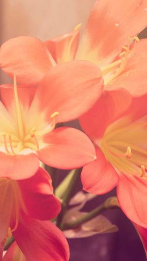 黑料吃瓜网截图2