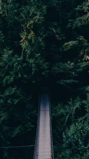 吃瓜文案短句干净逗比截图3