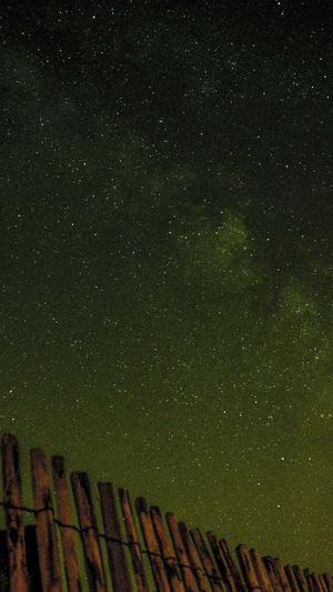 怀孕可以吃哈密瓜截图1