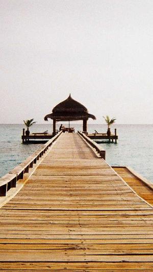 龙女塔罗黑料截图2