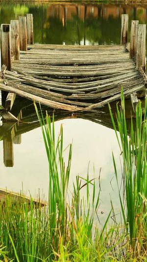 黑料不打烊so导航入口截图1