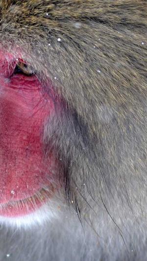 黑料不打烊没了截图2