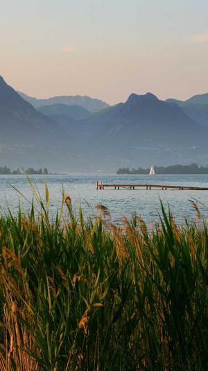 佐藤健黑料截图4