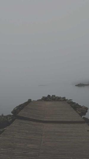 黑料永久传送门截图1