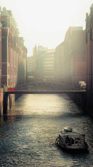 柿子和哈密瓜能一起吃吗截图4