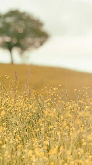 孟子义黑料截图1