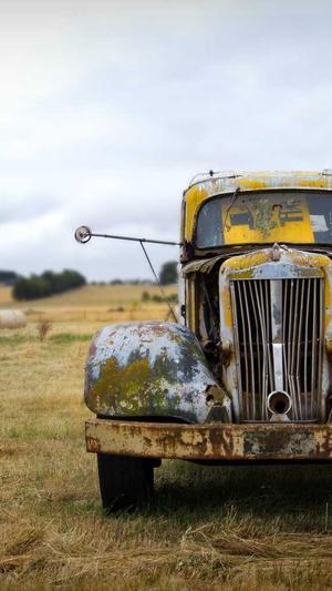 佛手瓜的籽可以吃吗截图2