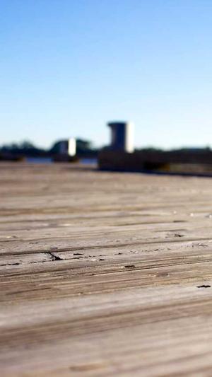 孕妇可以吃瓜吗截图3