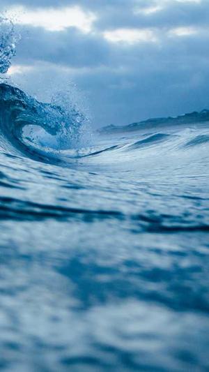 佐藤健黑料截图1