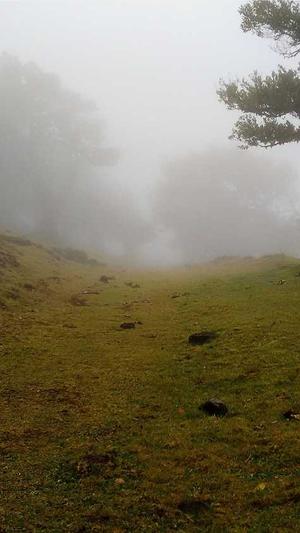 91吃瓜今日吃瓜截图2